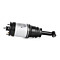 Amortizor pneumatic Spate Land Rover Discovery 4 RPD501110