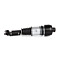 Mercedes-Benz CLS Class C219 Right Front Shock  2005